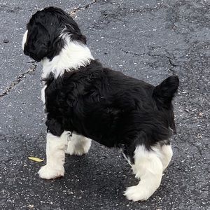 Meet your Posher, Mike